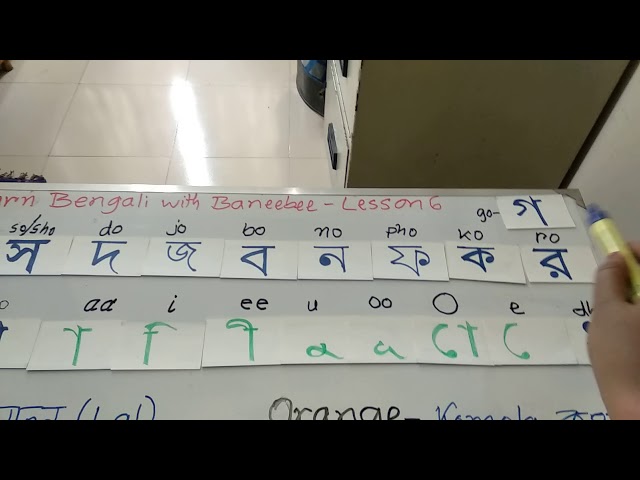 Bengali Lesson 6 | Colour and Alphabet | Learn Bengali with Baneebee | Shusmita Shyama |