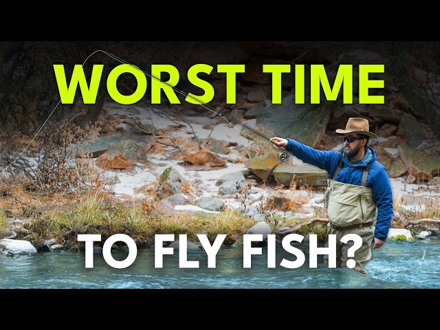The BEST and WORST Times of Year for Fly Fishing | Episode 4