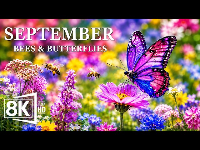September 2026 – Blooming Flower Paradise in 8K 🌸 Butterflies, Busy Bees & Summer Nature 🦋🐝