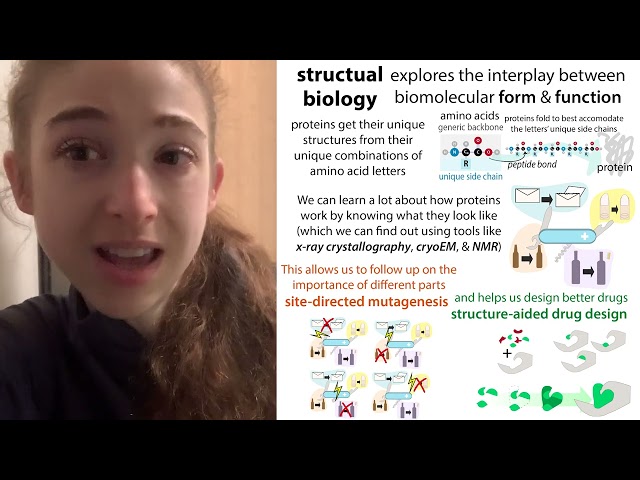 What do structural biologists do?