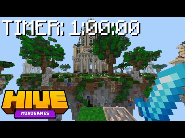 1 Hour of Hive Skywars