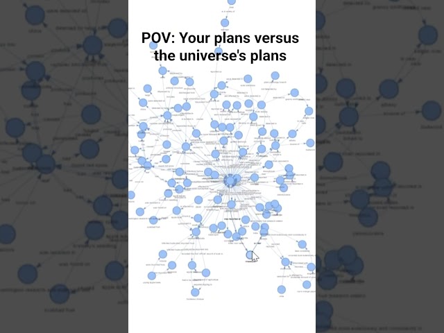 make your plans but the universe has a different opinion about your future 😉 #thinkforward