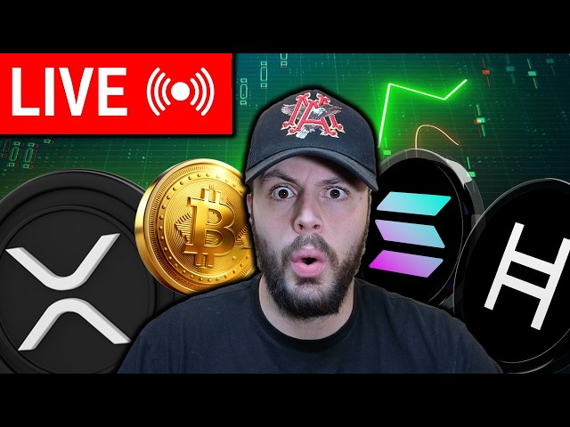 Crypto Memecoin Bull Market!? ANSEM, XRP & More!