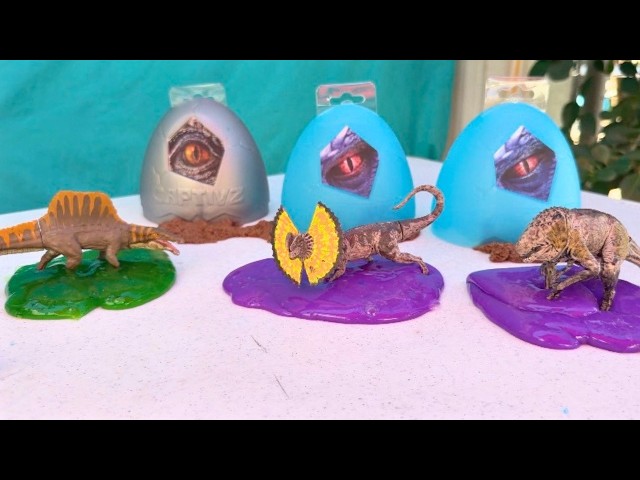 Jeremy Opens Jurassic World DINOSAUR EGG Toys! Dinosaurs Experiment