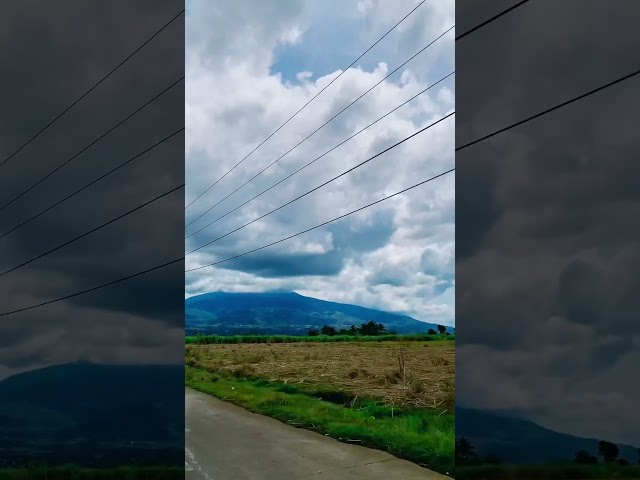 Going home to napaturan san carlos