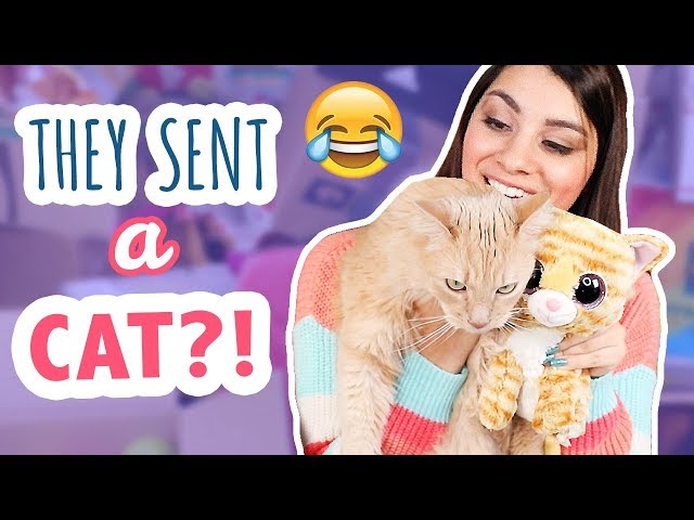 Unboxing YOUR Squishy Packages | More Squishy Makeover Victims