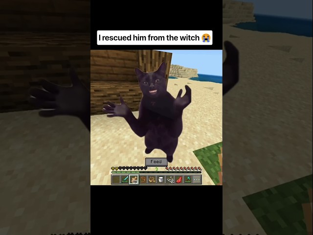 I rescued him from the witch 😭