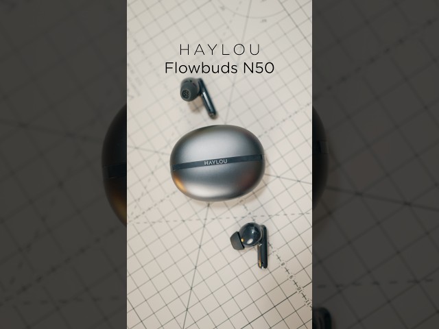 HAYLOU Flowbuds N50 TWS