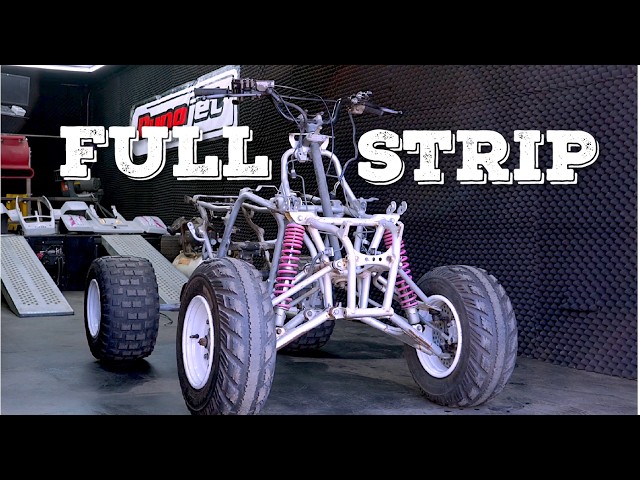 1991 Yamaha Banshee Full Strip Down