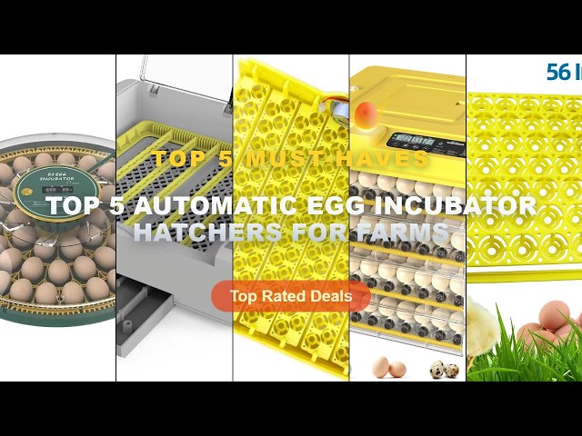 Amazing Top 5 Automatic Egg Incubator Hatchers For Farms You Need To See - 56 Eggs Incubator Eggs Au