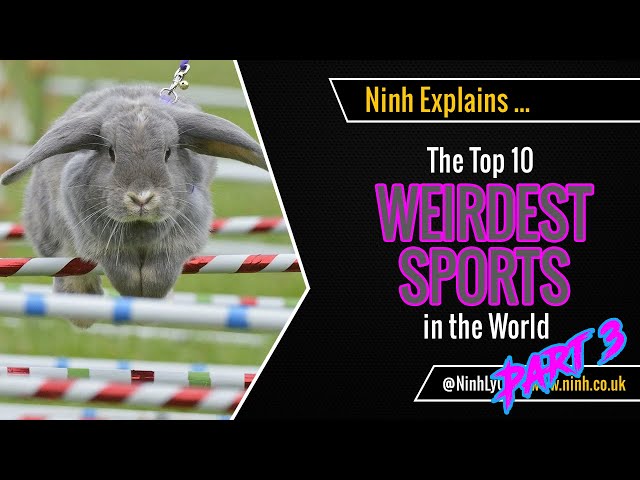 Top 10 Weirdest Sports in the World - Part 3 - EXPLAINED!