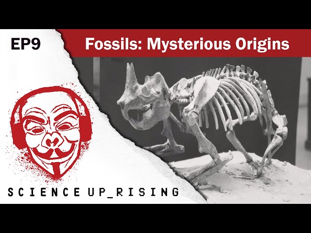 Fossils: Mysterious Origins (Science Uprising, EP9)