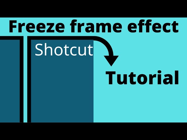 Shotcut FREEZE FRAME tutorial
