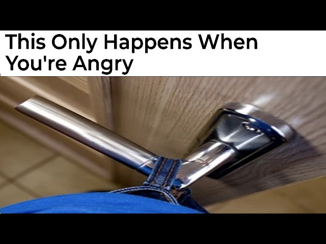 Memes Of Your Life