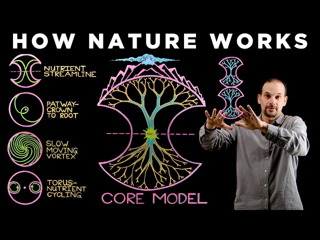 How to See the Hidden Patterns of Nature