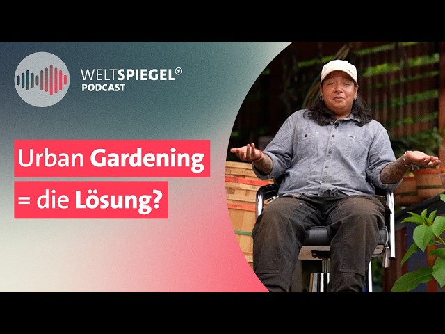 Zu teure Lebensmittel: Wie New Yorker sich selbst helfen | Weltspiegel Podcast