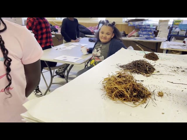 Phases of composting