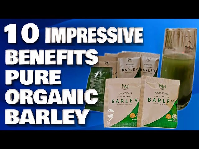 10 Impressive Benefits Of Amazing Pure Organic Barley Powdered Drink Safe and Effective