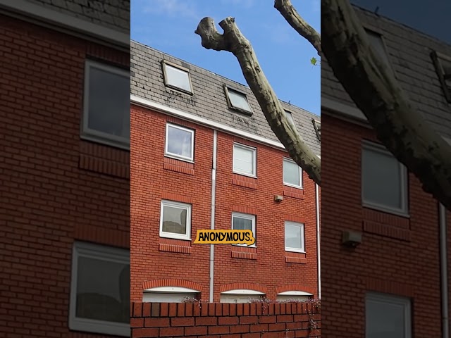 The cheap city estates that saved Manchester