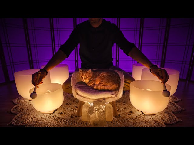 RESETTING YOUR VAGUS NERVE FOR SLEEP | Music for Calming Your Nervous System Before Bed