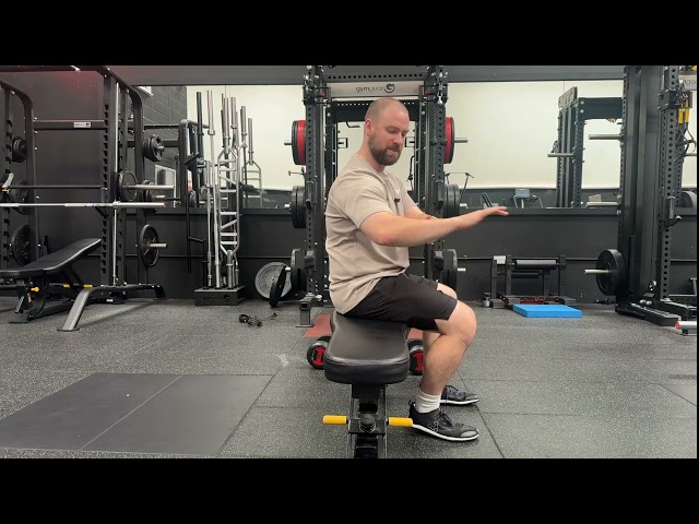 Dumbbell Bench Press V2