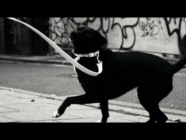 Underworld - o2 Academy Brixton, London 5th, 6th & 7th Feb 2026