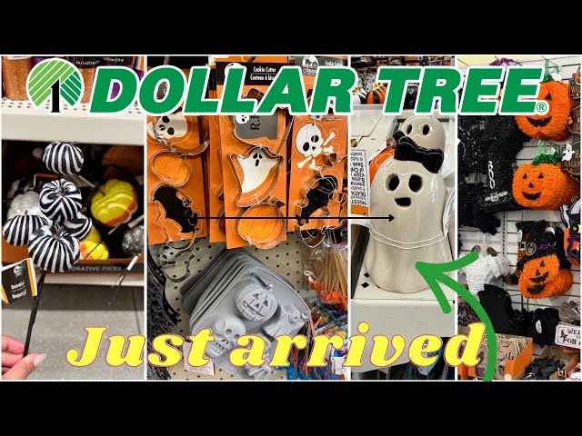Shop NEW Dollar Tree FINDS