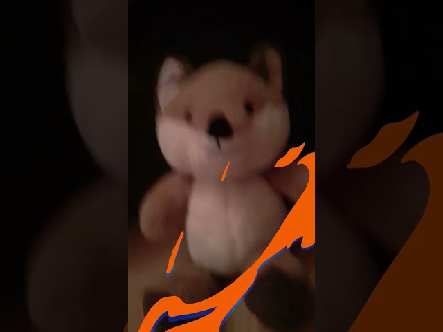 FoxPro