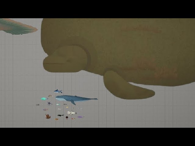 (showcase) all of my mods endless ocean creatures