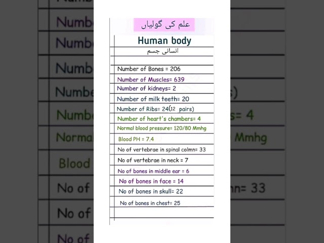 human body facts. interesting informations about human body #generalknowledge#humanBody#Facts