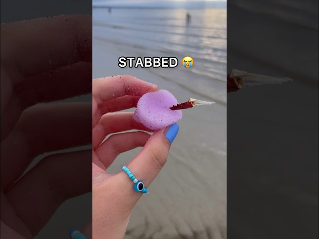 LOOKING FOR FIDGETS at the BEACH! 🌊😱👙 *weird amazon fidgets*
