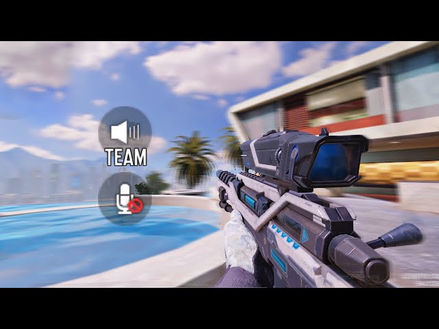 My random teammates in the Voice Chat are...