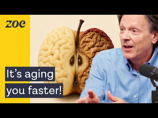 The secret to coping with stress - how to protect your brain and feel calmer now