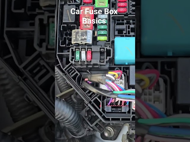 The fusebox protects the car’s electrical systems.If something stops working, check here. #fusebox