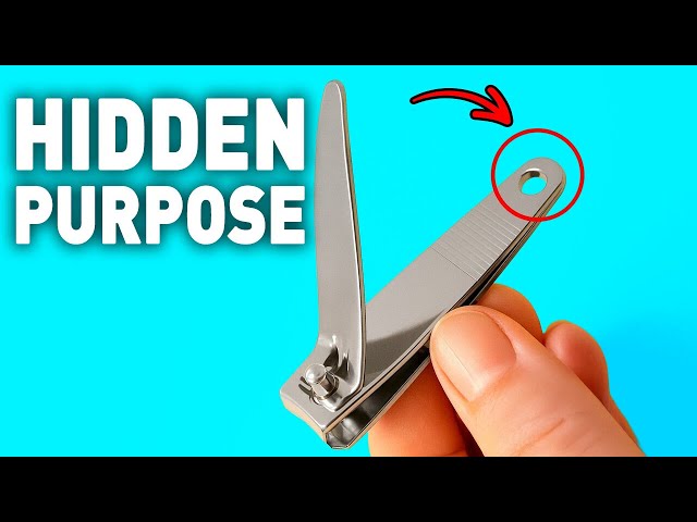 The Hidden Purpose of Everyday Items That Nobody Told You