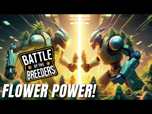 Flower Power! Battle Of The Breeders Update