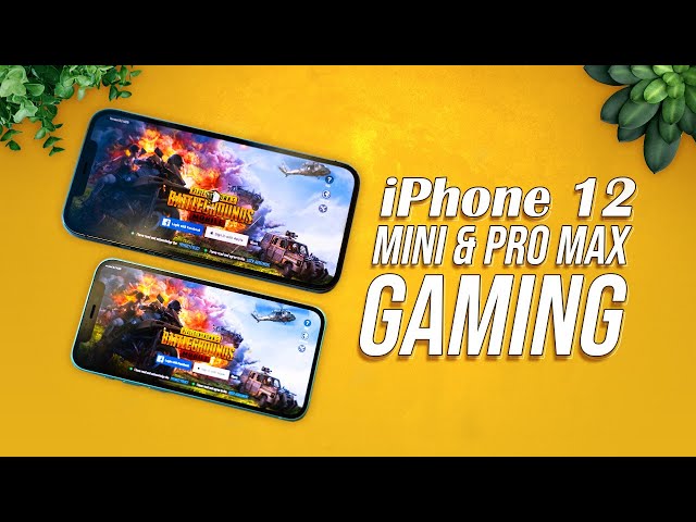 iPhone 12 Mini & iPhone 12 Pro Max Gaming | PubG Test