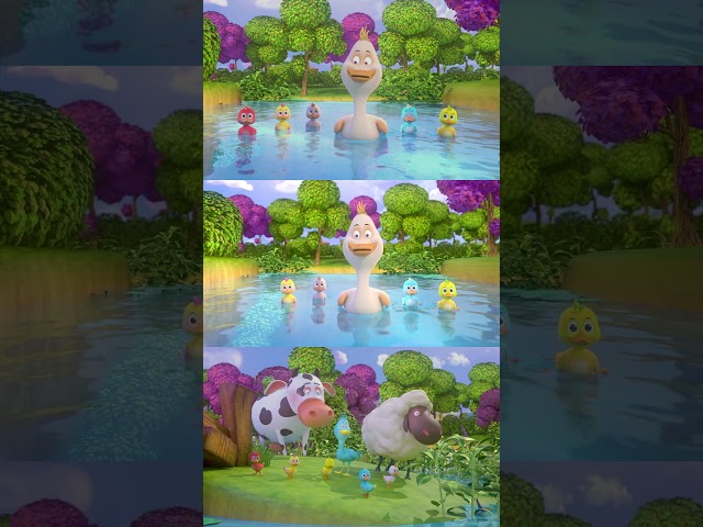 5 Little Ducks - MooMoo & The Barn House Family #5littleducks #MooMoo #shorts #nurseryrhymes