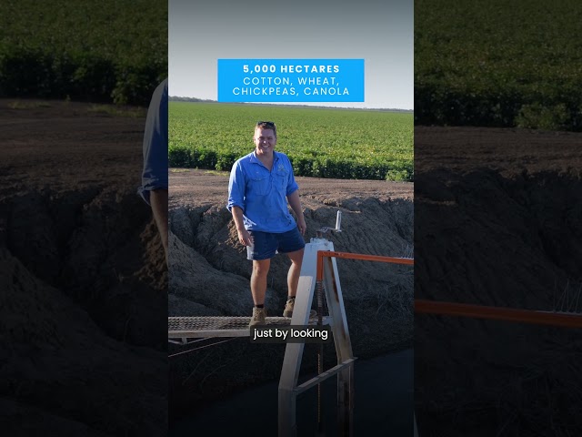 How Australian Growers Are Using INCYT: AgTech engineered locally