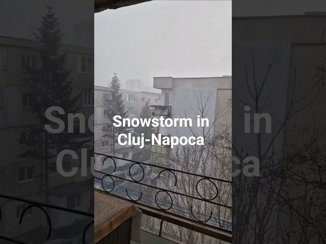 Snowstorm in Cluj-Napoca, Dec 30, 2025, 3:50 PM. #snowstorm #cluj