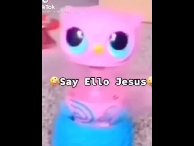 jesus the bird