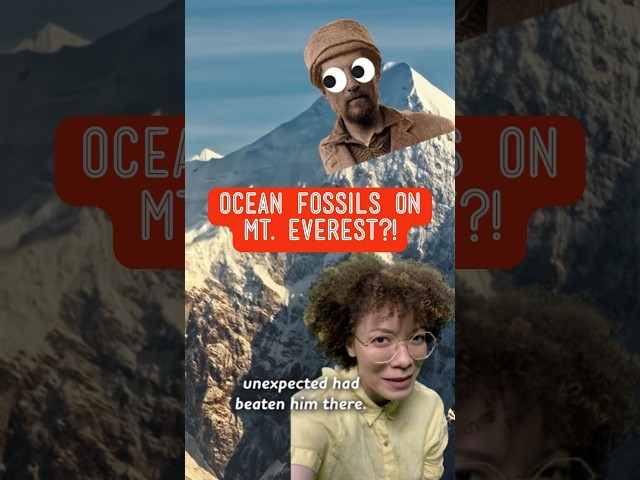 How did ocean invertebrates end up on Mt. Everest?!