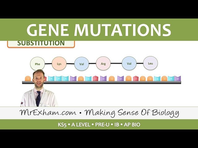 Mutations -  Post 16 Biology (A Level, Pre-U, IB, AP Bio)