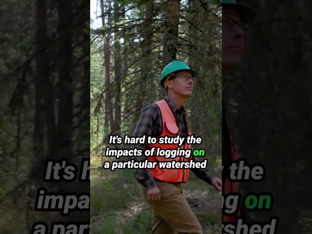 They are BREAKING it! #forestservice #politics #economics