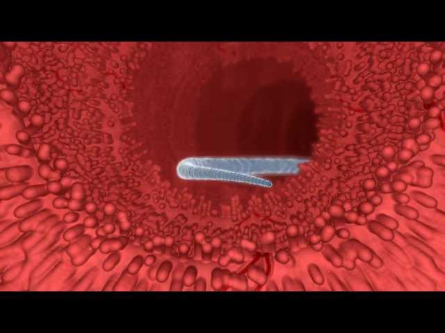 ScienceVisuals/Visualbiotech Demo Reel - alien worm invader version