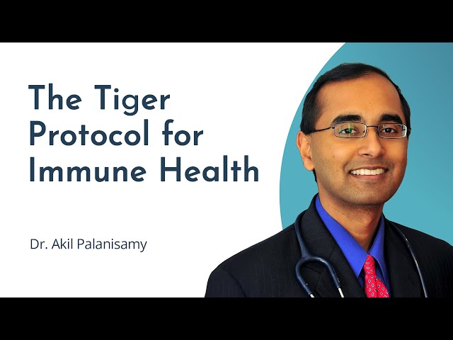 The Tiger Protocol for Autoimmune Disease