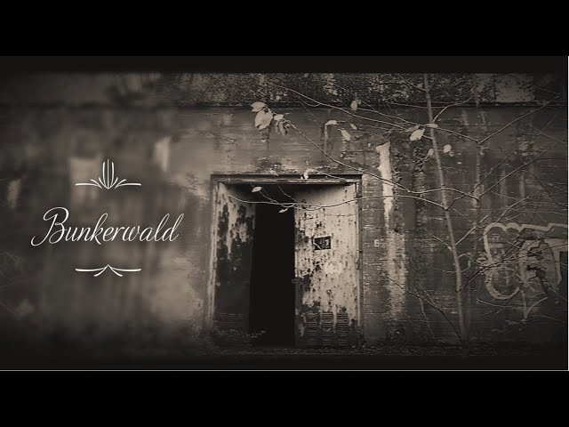 Waldstetten Bunkerwald