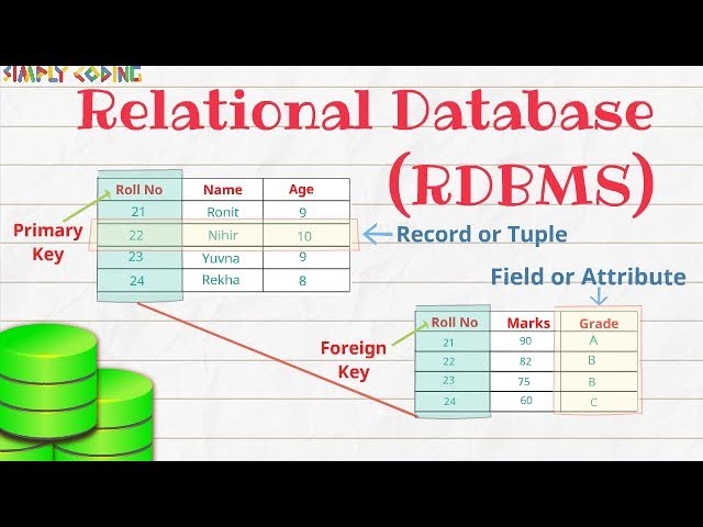 Relational Database