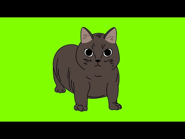 OIIAOIIA CAT adventures