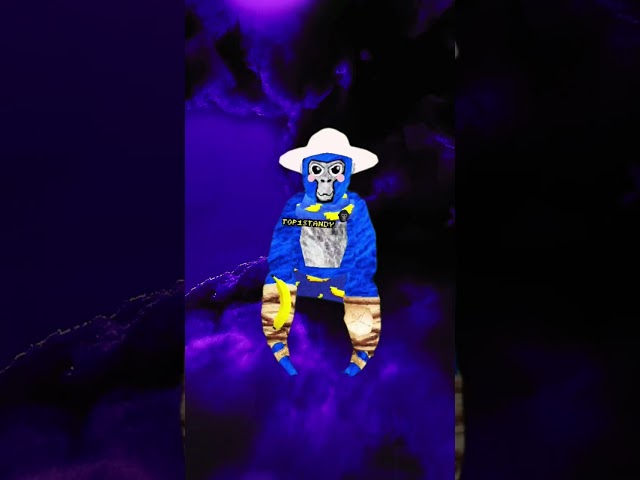 sub RN if your cool #gorillatag #helpmemakethismakesense #gorillatag #helpmemakethismakesense #gtag